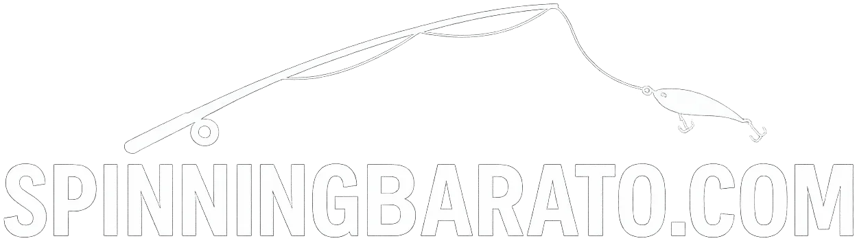 logo spinningbarato