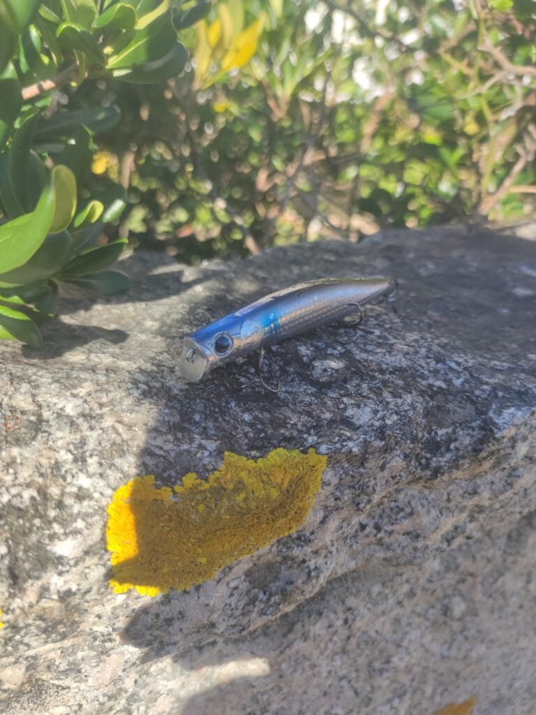 D1 DT4005: alternativa al Megabass Kagelou