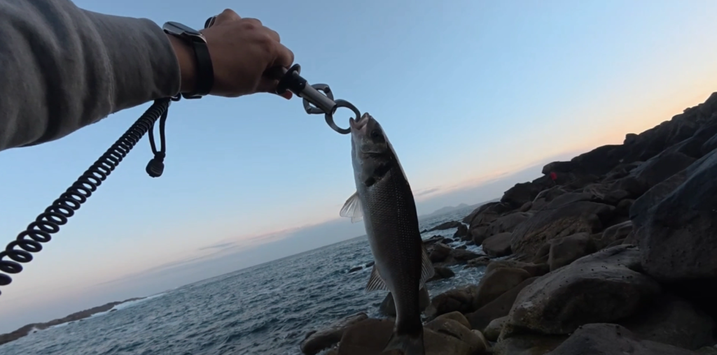 grip Booms Fishing G01