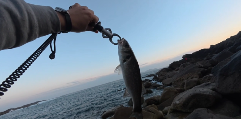 grip Booms Fishing G01